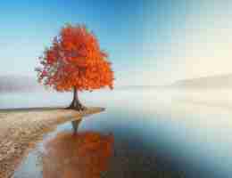 技﻿术‌教‍学​视﻿频﻿